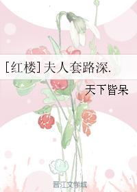 [红楼]夫人套路深.